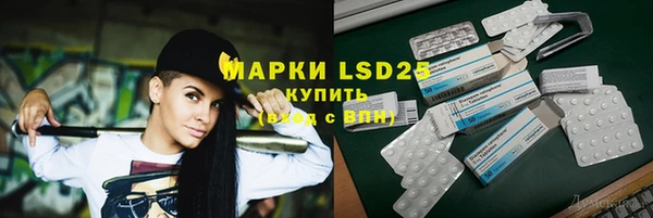 прущие грибы Осташков