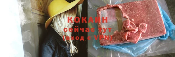 прущие грибы Осташков