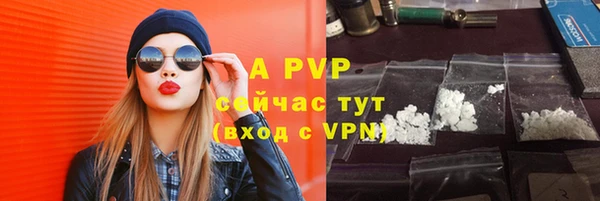 прущие грибы Осташков