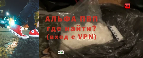 прущие грибы Осташков