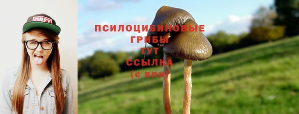 наркотики Весьегонск