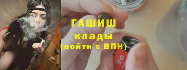 индика Бронницы