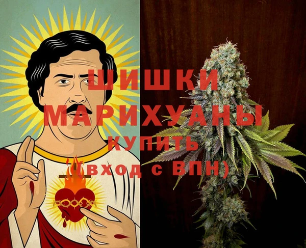 прущие грибы Осташков