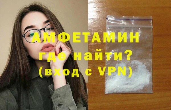 прущие грибы Осташков