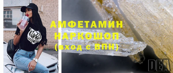 прущие грибы Осташков